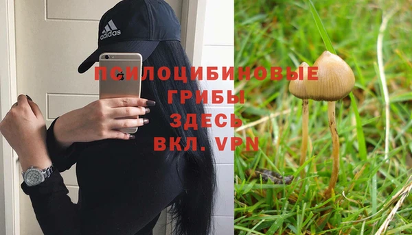 бошки Алексин