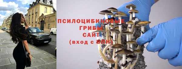 соль ск Алзамай