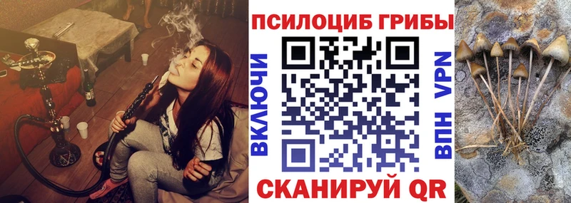 Псилоцибиновые грибы Psilocybine cubensis  Купить закладки  Кемь 